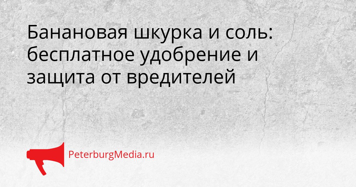 Банановая шкурка и соль: бесплатное удобрение и защита от вредителей