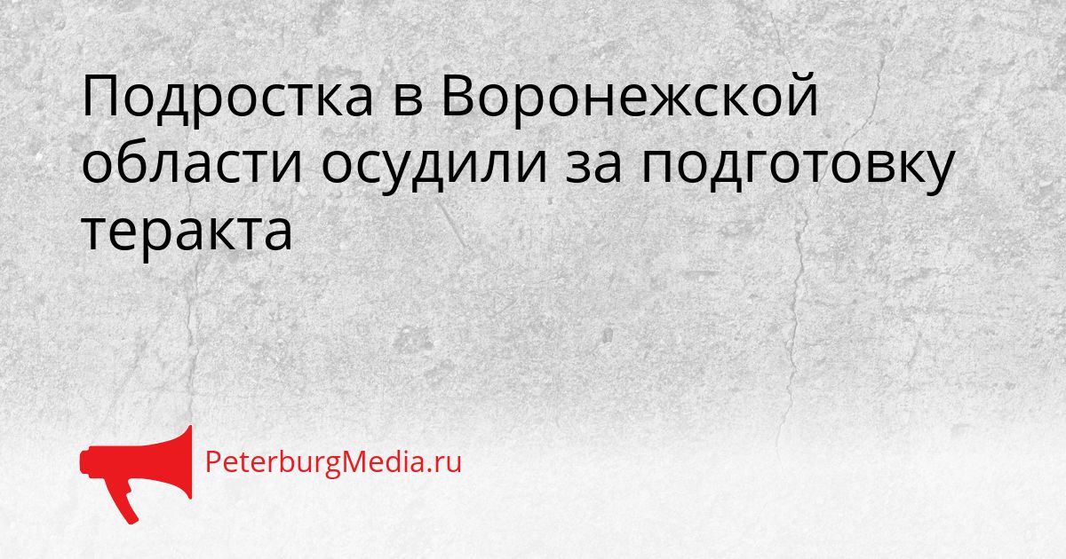 Подростка в Воронежской области осудили за подготовку теракта
