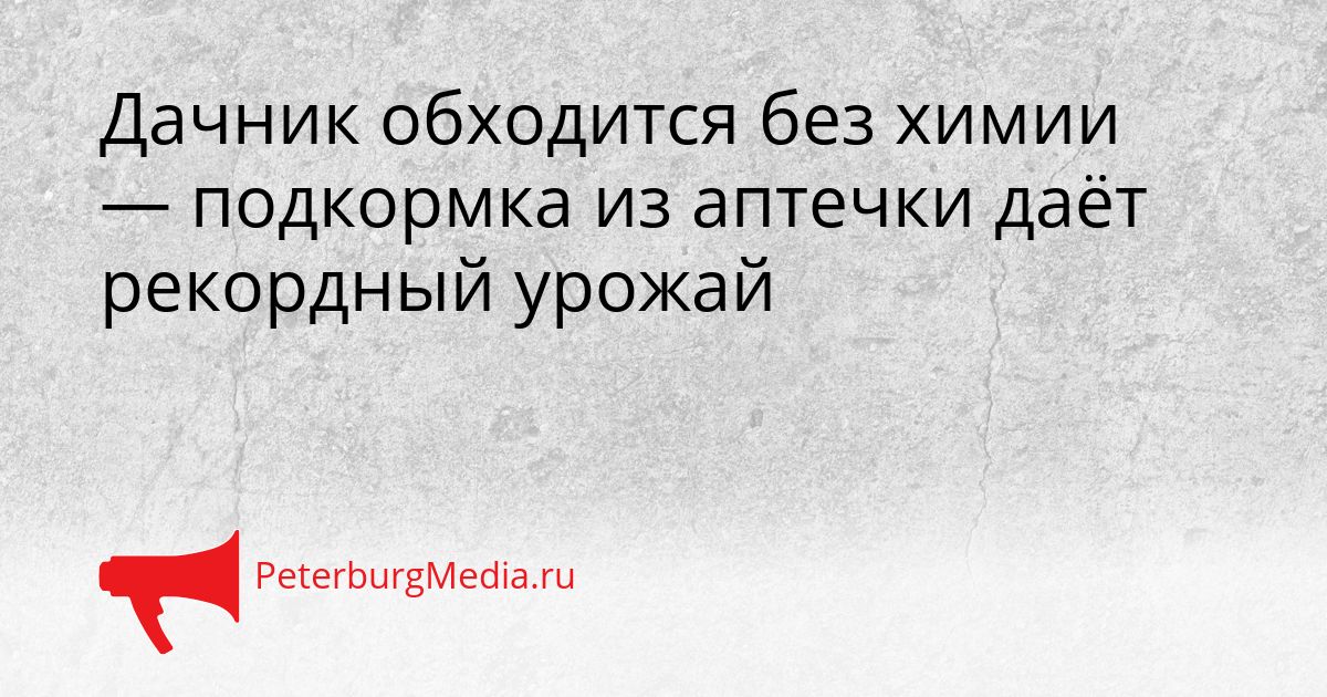 Дачник обходится без химии — подкормка из аптечки даёт рекордный урожай