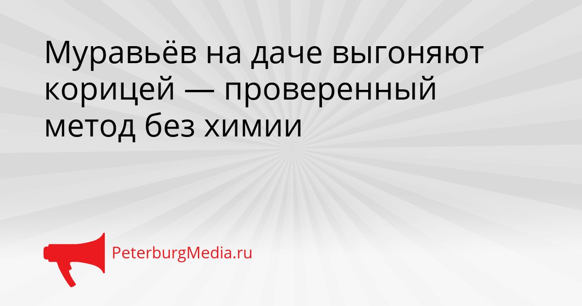 Муравьёв на даче выгоняют корицей — проверенный метод без химии