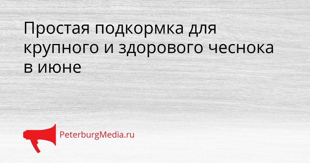 Простая подкормка для крупного и здорового чеснока в июне