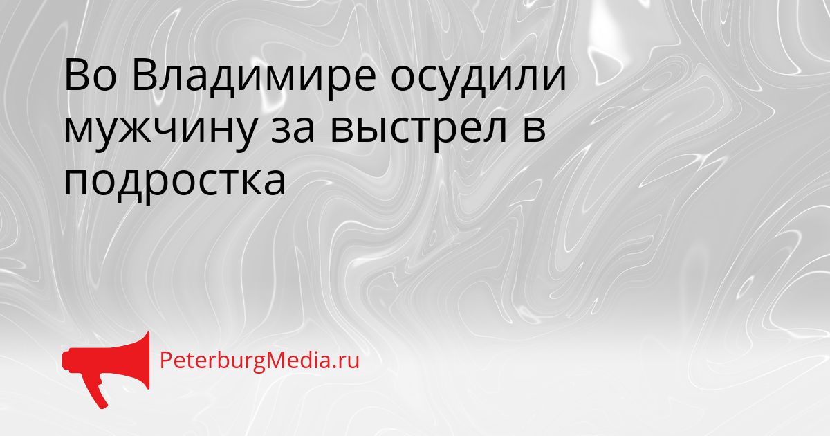 Во Владимире осудили мужчину за выстрел в подростка