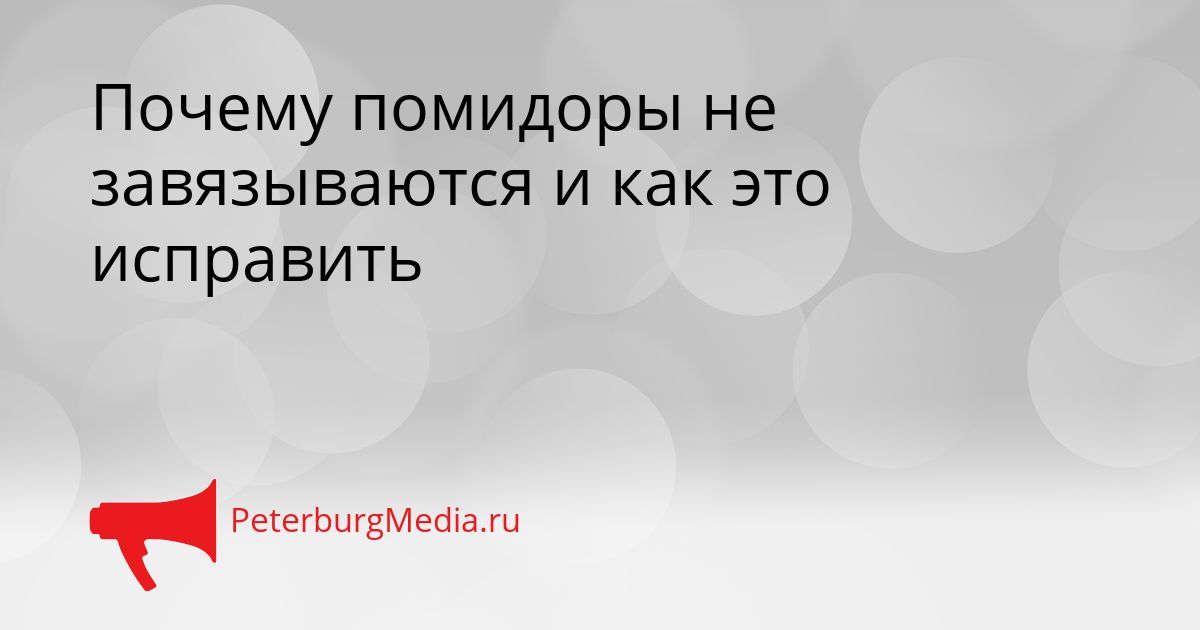 Почему помидоры не завязываются и как это исправить