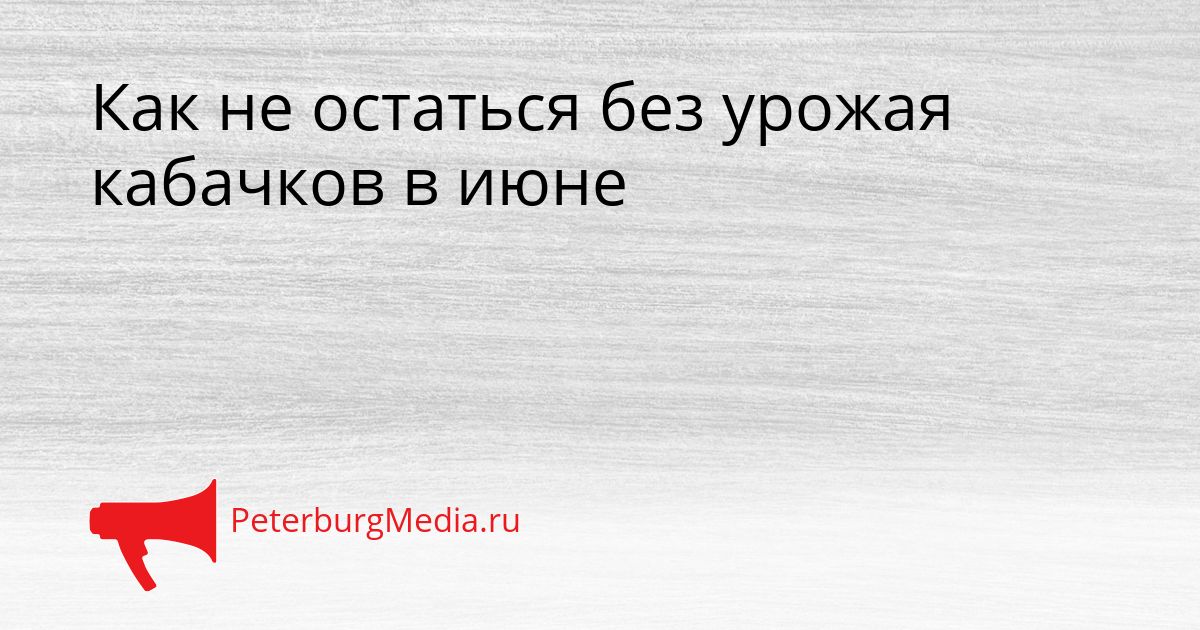 Как не остаться без урожая кабачков в июне