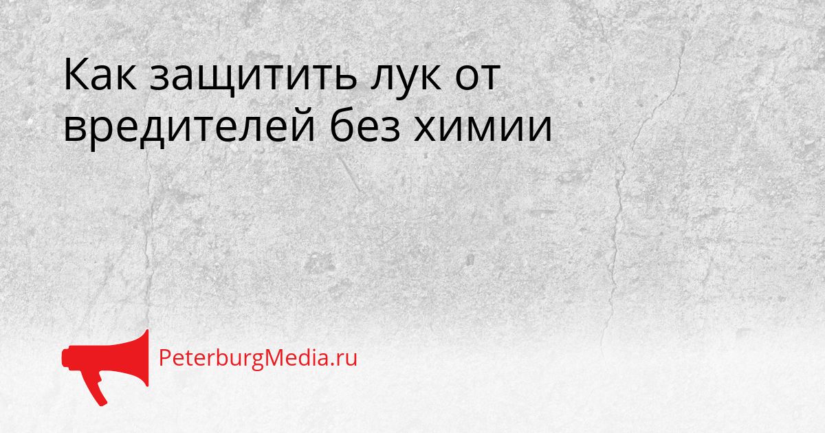 Как защитить лук от вредителей без химии