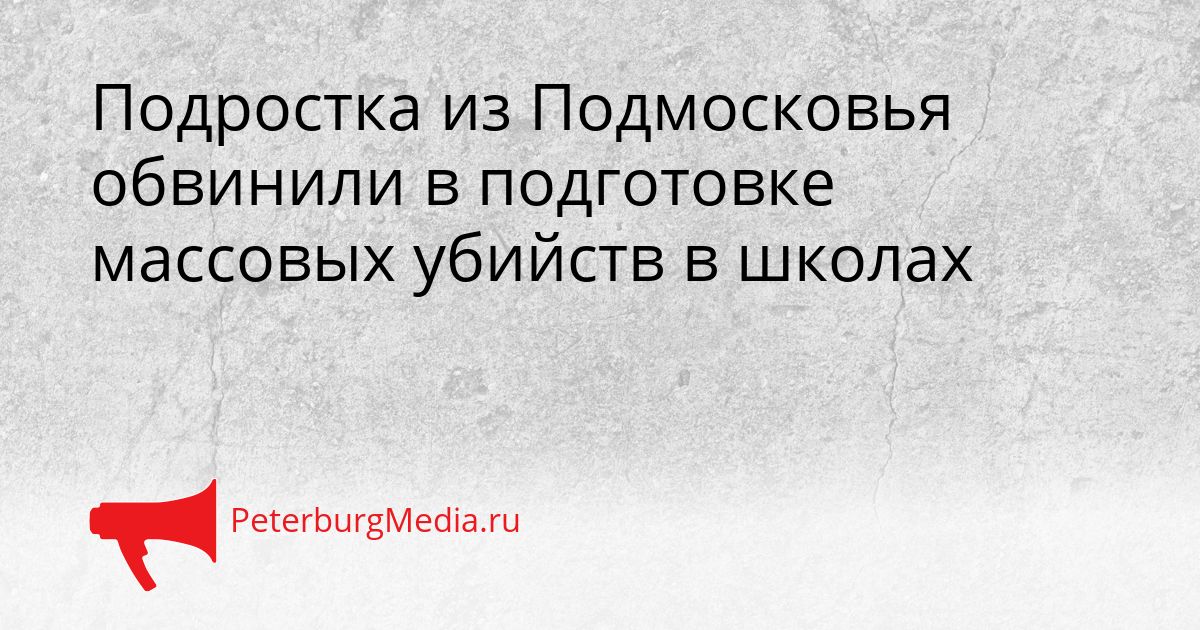 Подростка из Подмосковья обвинили в подготовке массовых убийств в школах
