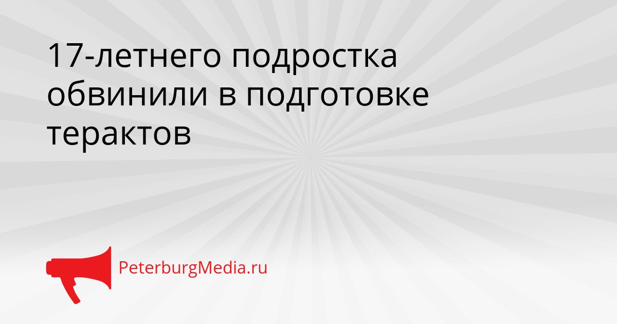 17-летнего подростка обвинили в подготовке терактов