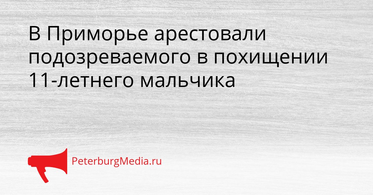 В Приморье арестовали подозреваемого в похищении 11-летнего мальчика