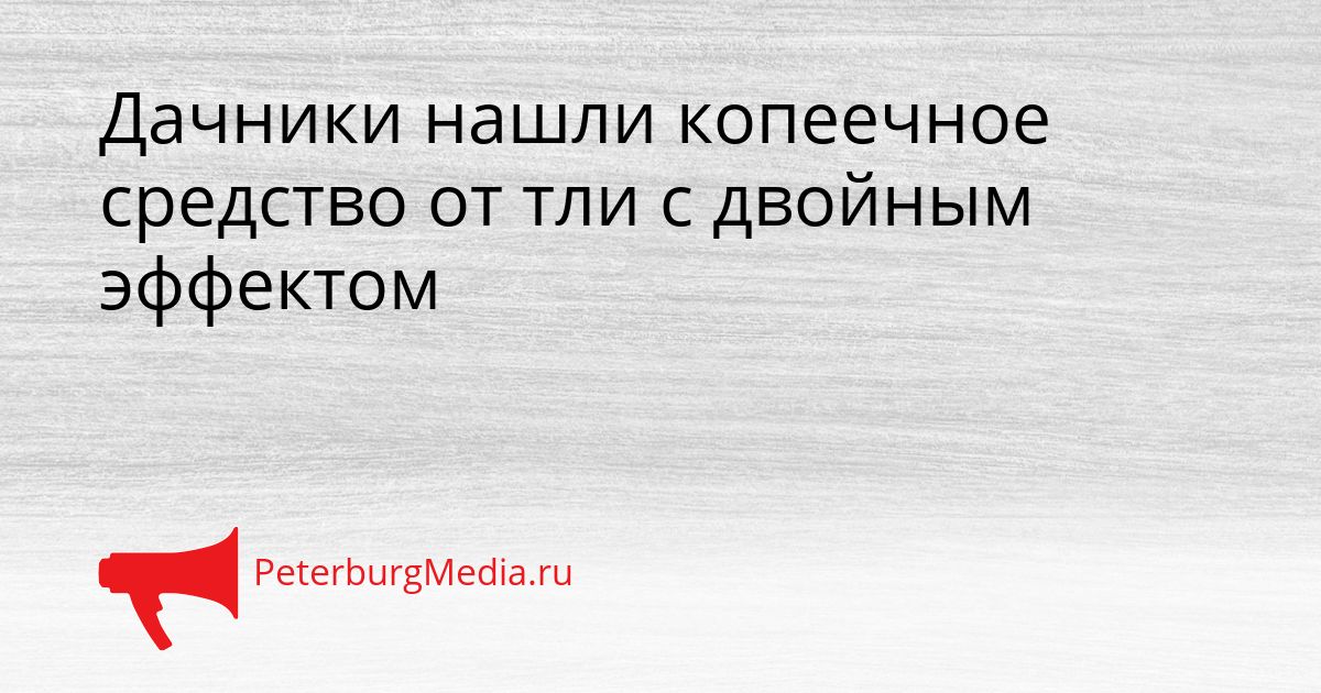 Дачники нашли копеечное средство от тли с двойным эффектом