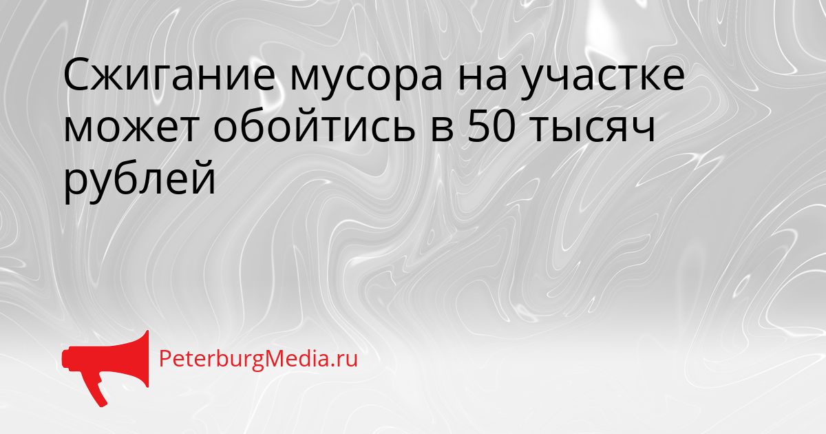 Сжигание мусора на участке может обойтись в 50 тысяч рублей