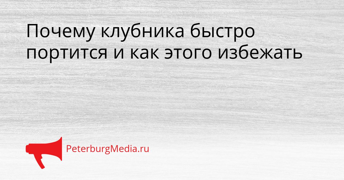 Почему клубника быстро портится и как этого избежать