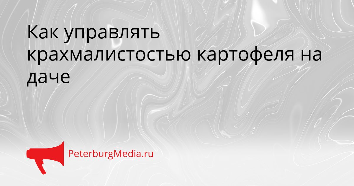 Как управлять крахмалистостью картофеля на даче