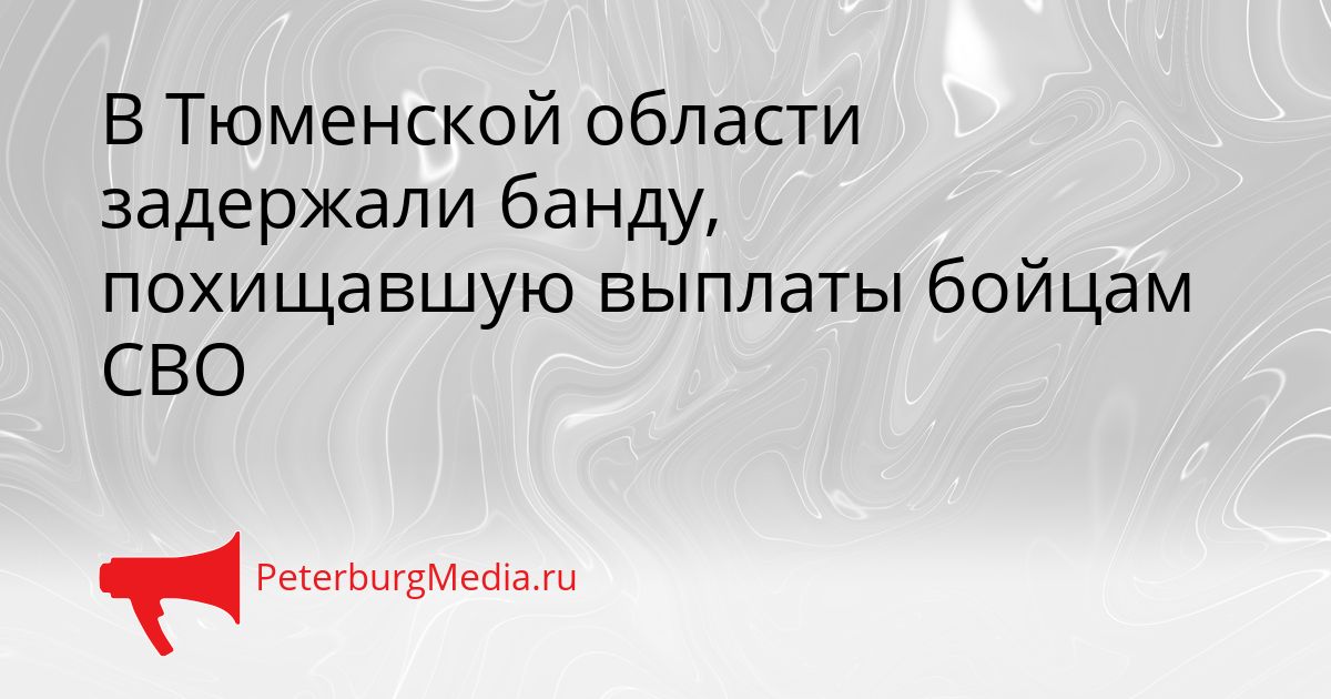 В Тюменской области задержали банду, похищавшую выплаты бойцам СВО