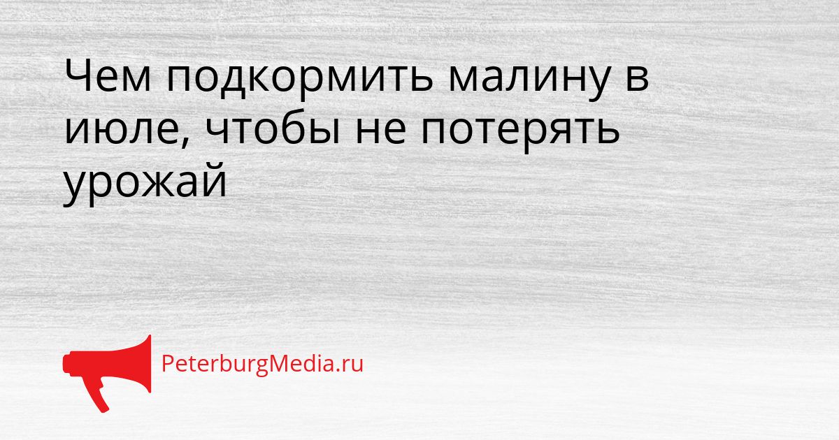 Чем подкормить малину в июле, чтобы не потерять урожай