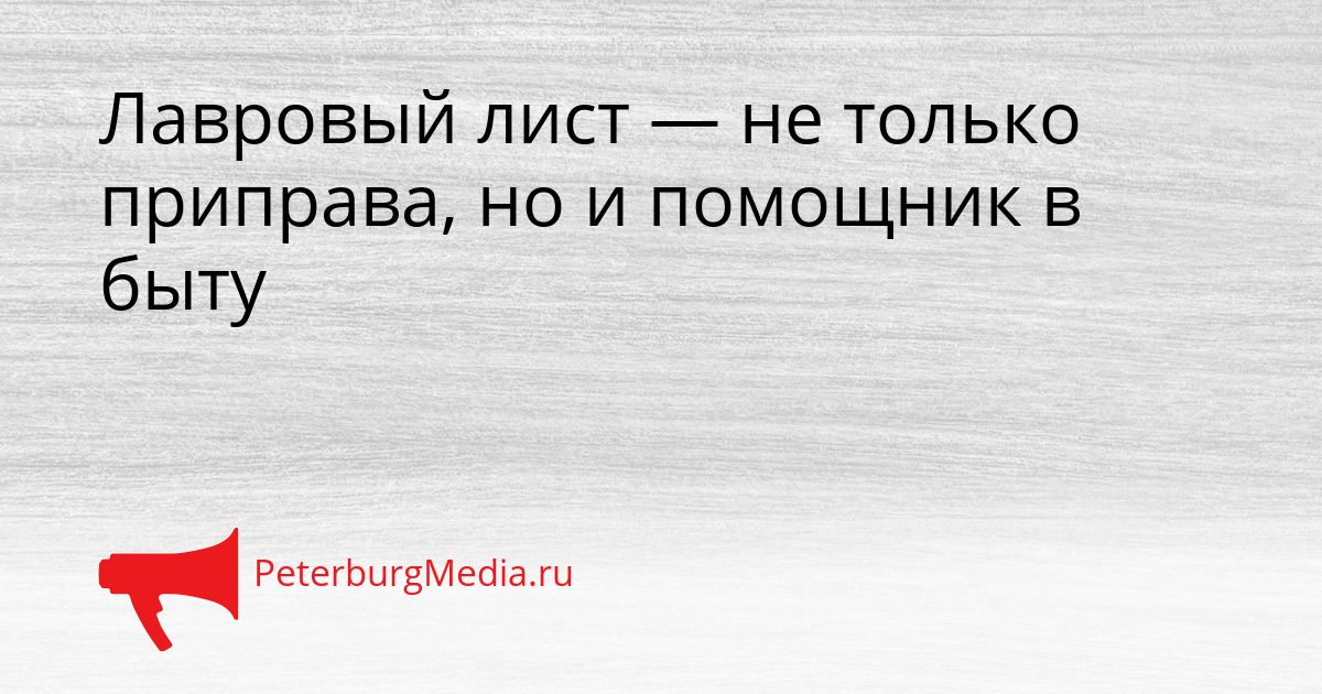 Лавровый лист — не только приправа, но и помощник в быту