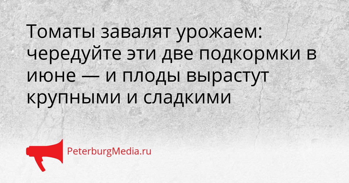 Томаты завалят урожаем: чередуйте эти две подкормки в июне — и плоды вырастут крупными и сладкими Сгенерировано
