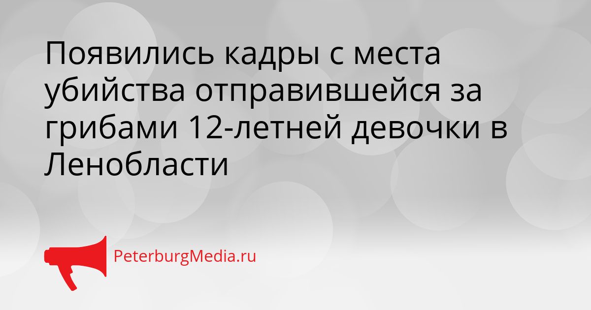 Появились кадры с места убийства отправившейся за грибами 12-летней девочки в Ленобласти