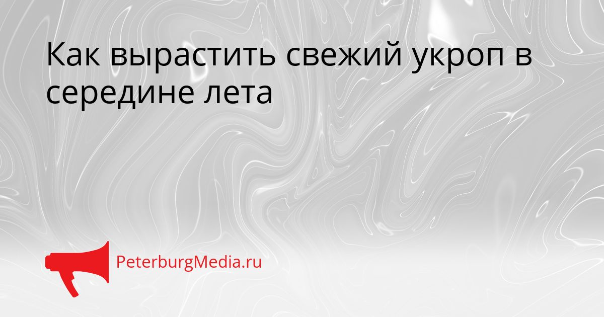 Как вырастить свежий укроп в середине лета Сгенерировано