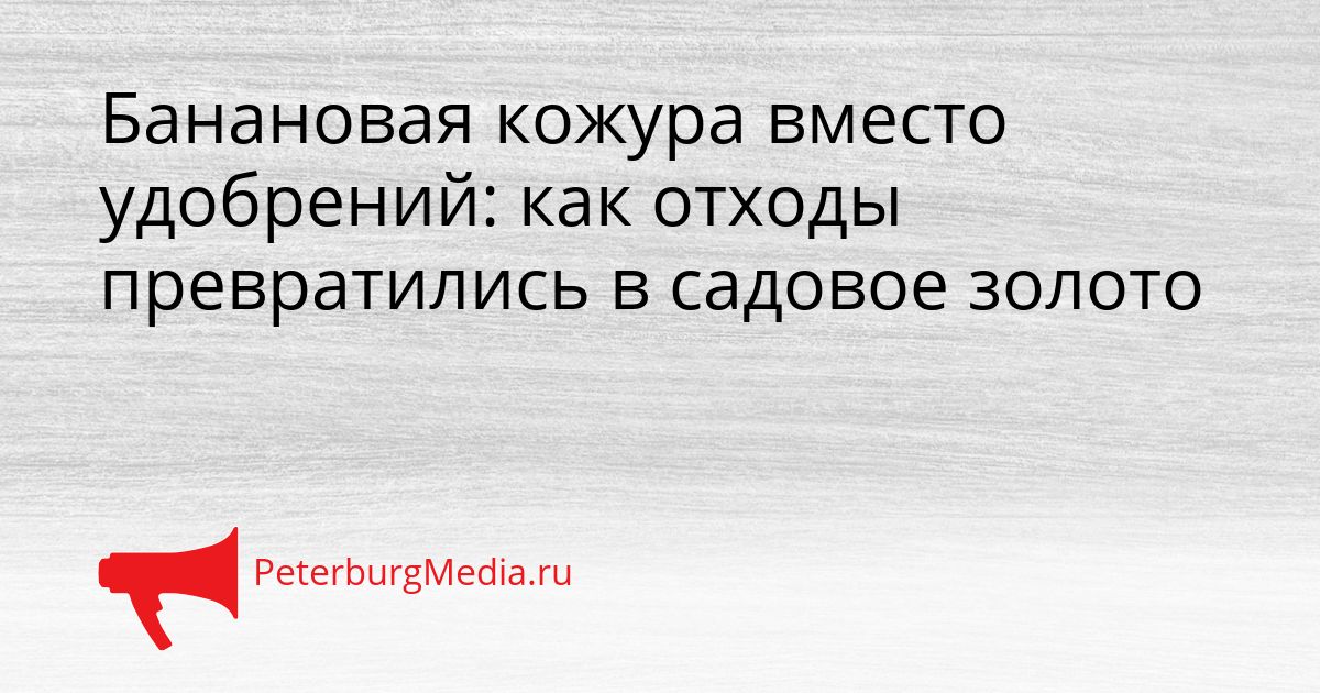 Банановая кожура вместо удобрений: как отходы превратились в садовое золото