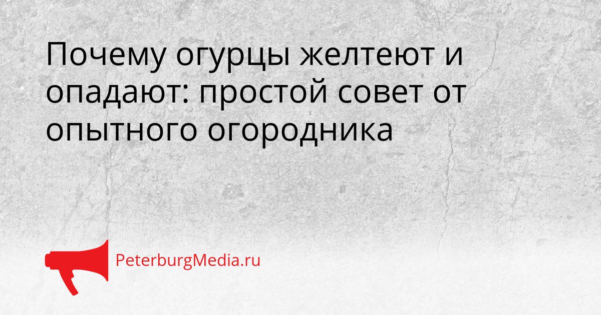 Почему огурцы желтеют и опадают: простой совет от опытного огородника