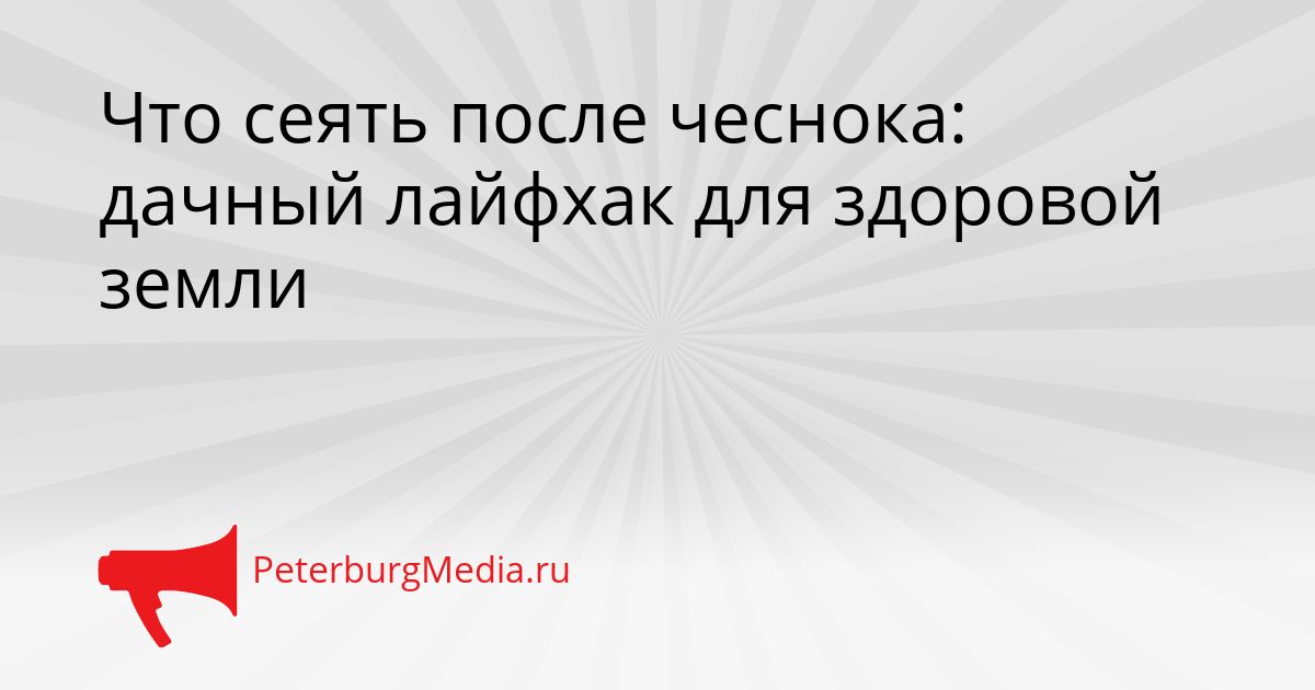 Что сеять после чеснока: дачный лайфхак для здоровой земли