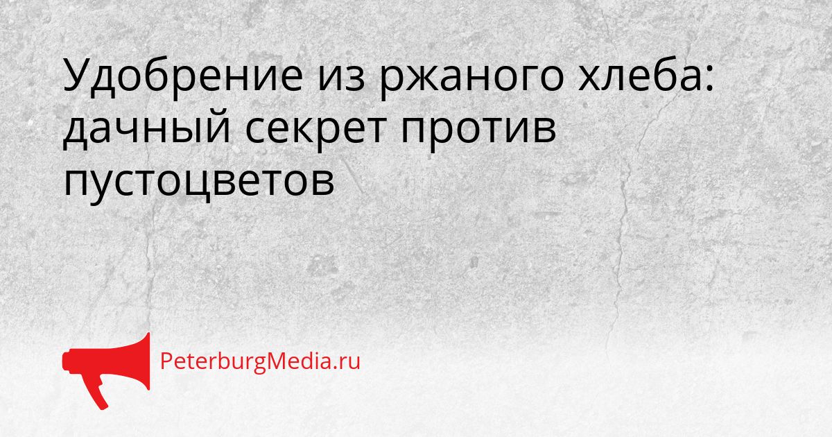 Удобрение из ржаного хлеба: дачный секрет против пустоцветов
