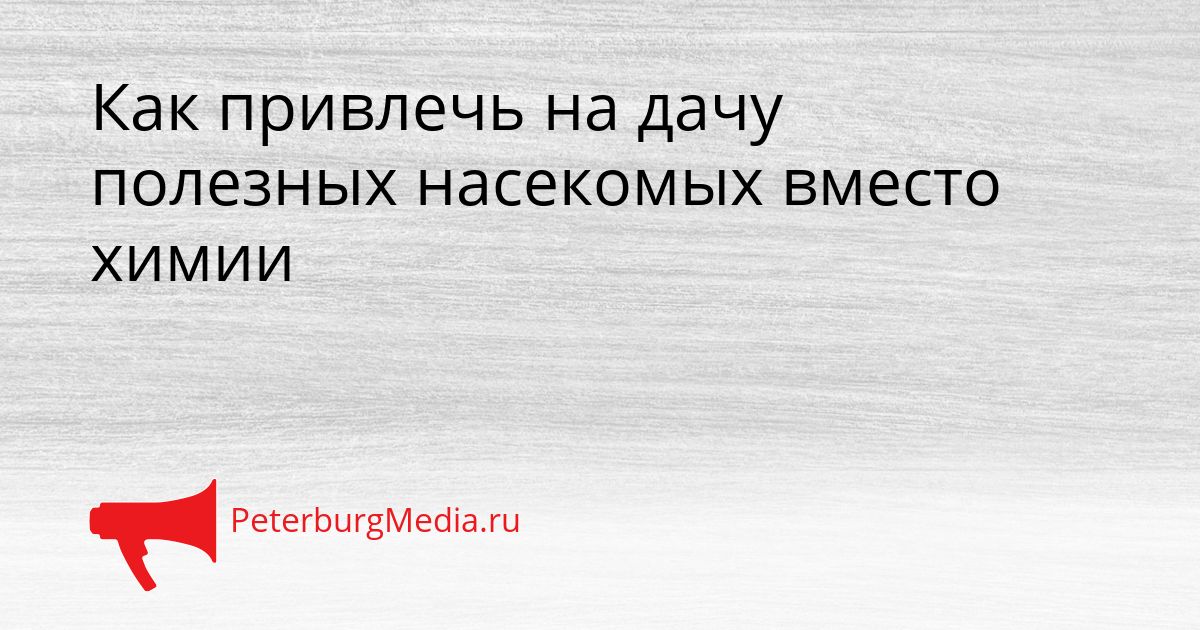 Как привлечь на дачу полезных насекомых вместо химии
