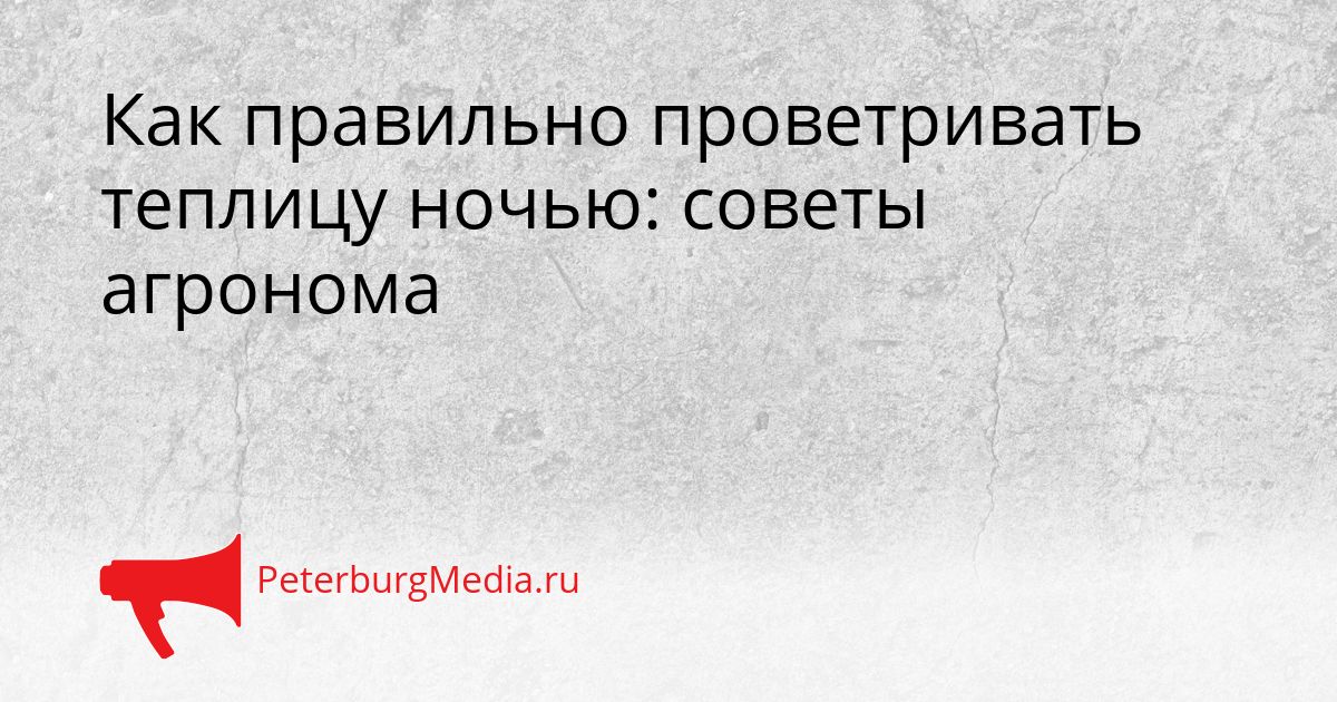 Как правильно проветривать теплицу ночью: советы агронома