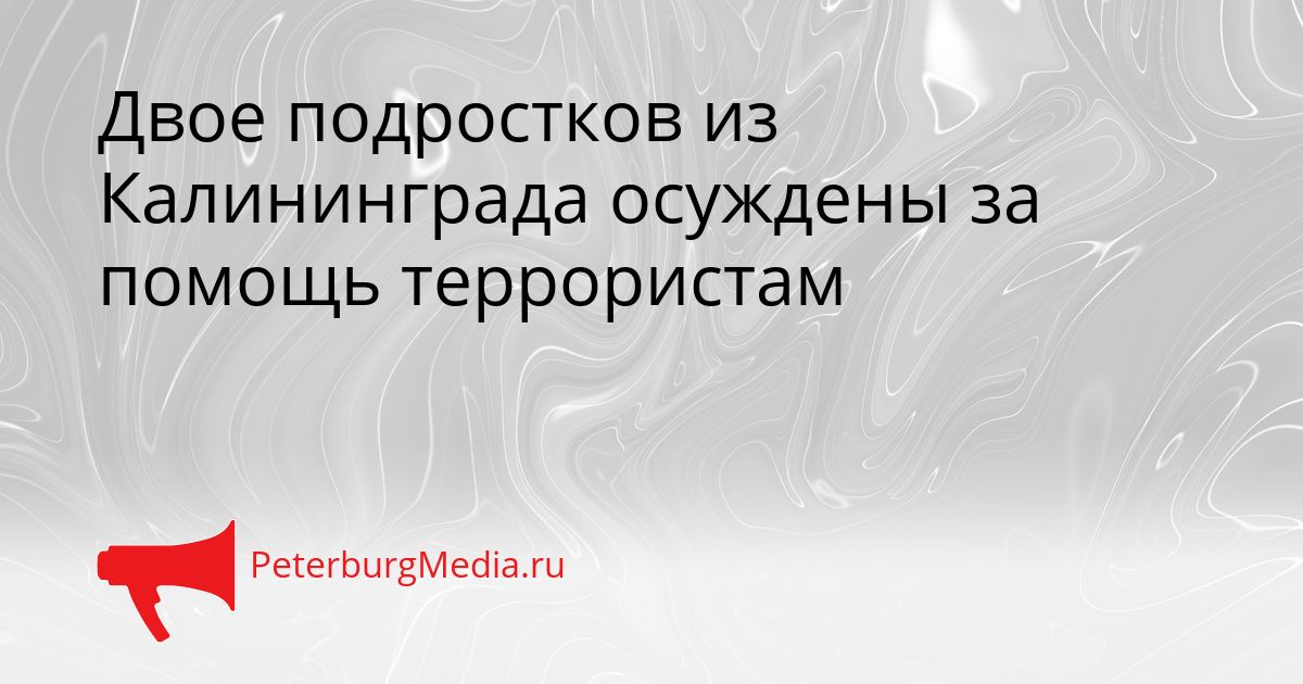 Двое подростков из Калининграда осуждены за помощь террористам