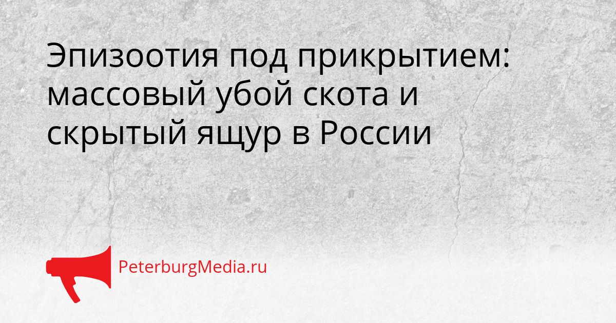 Эпизоотия под прикрытием: массовый убой скота и скрытый ящур в России