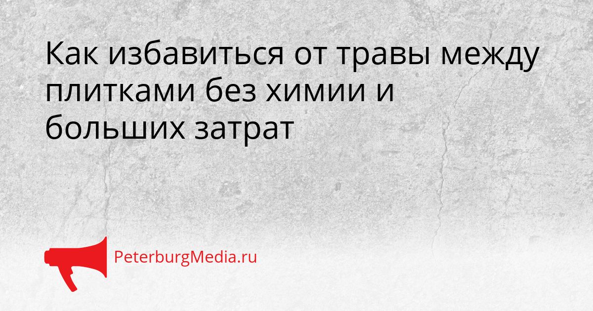 Как избавиться от травы между плитками без химии и больших затрат