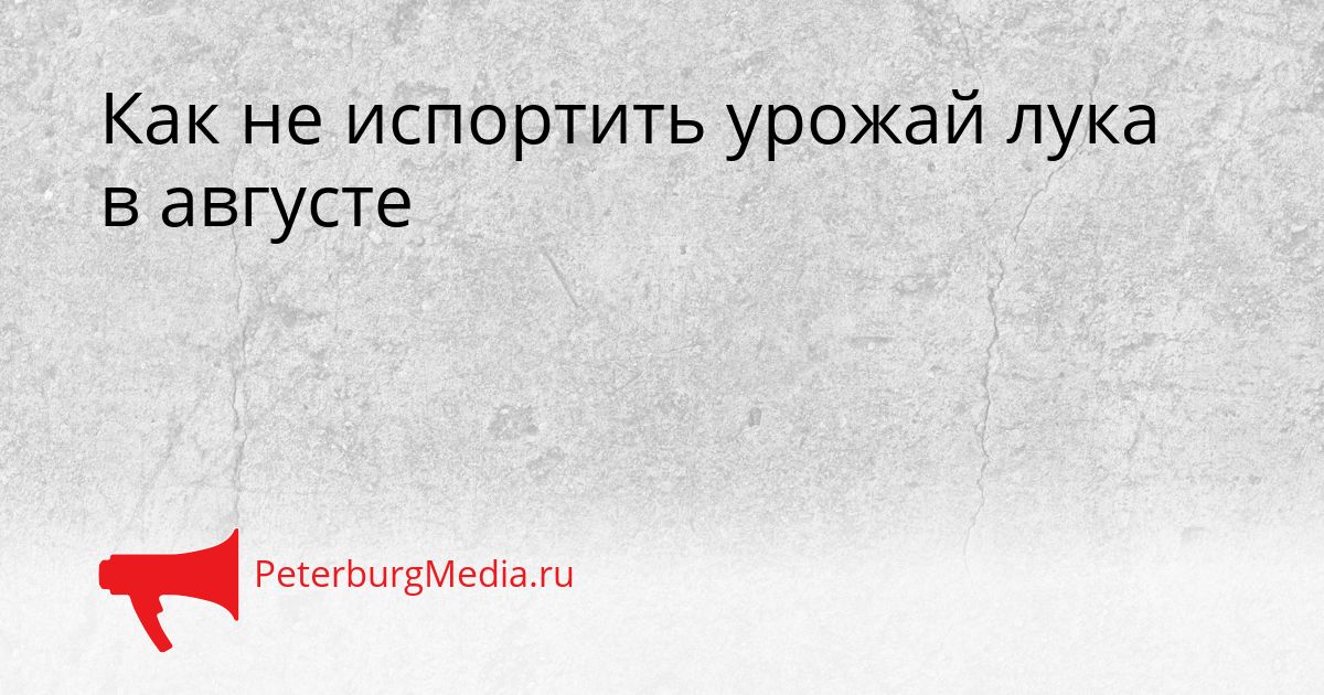 Как не испортить урожай лука в августе