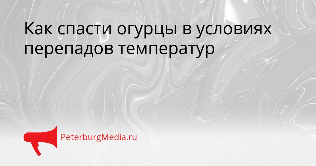 Как спасти огурцы в условиях перепадов температур