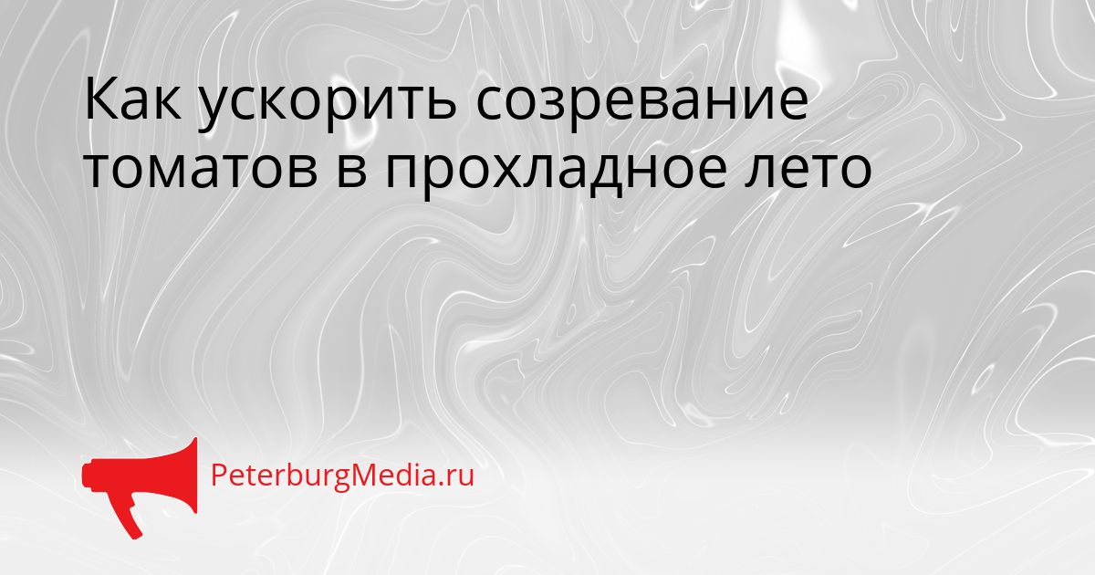Как ускорить созревание томатов в прохладное лето
