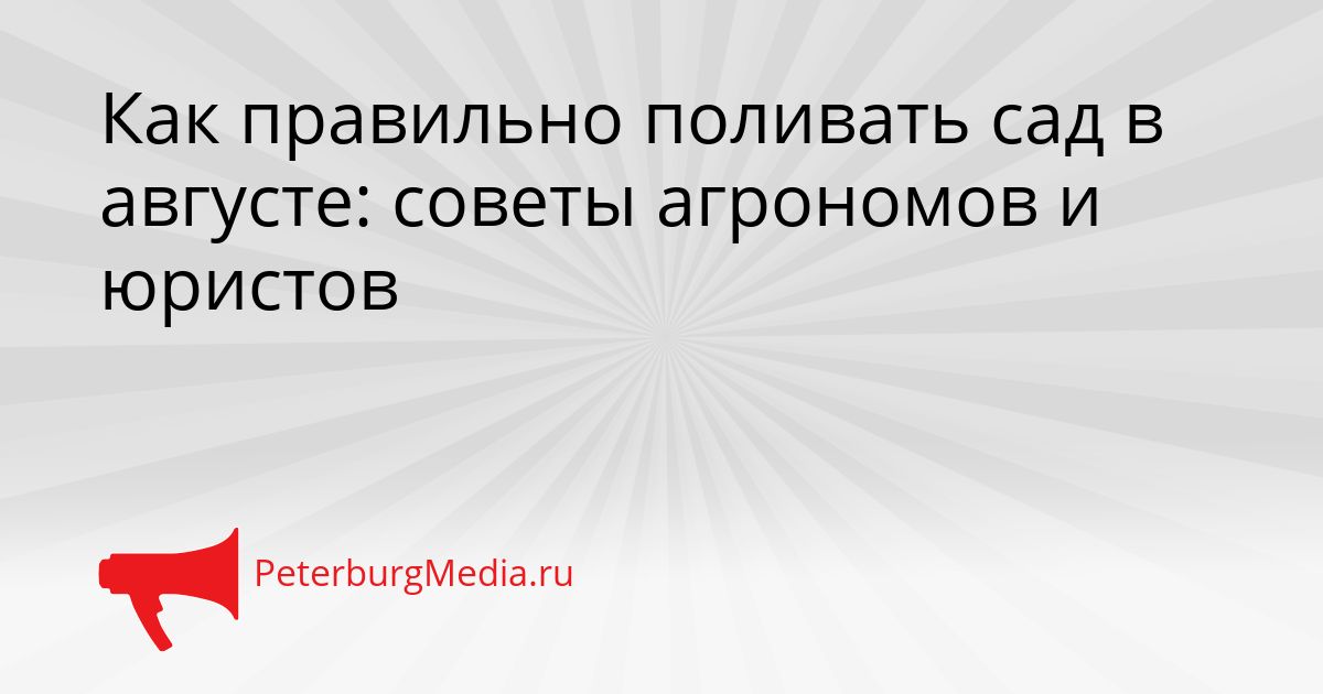 Как правильно поливать сад в августе: советы агрономов и юристов