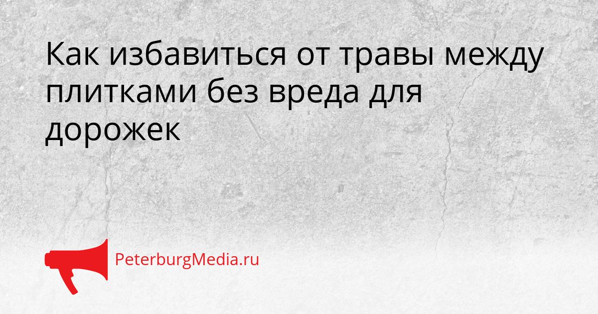 Как избавиться от травы между плитками без вреда для дорожек
