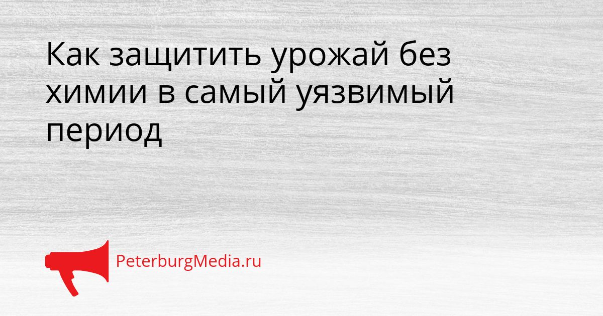 Как защитить урожай без химии в самый уязвимый период