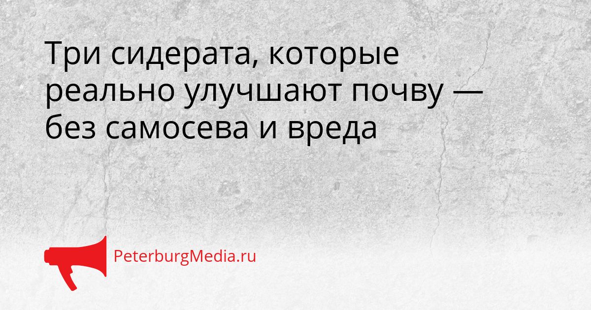 Три сидерата, которые реально улучшают почву — без самосева и вреда