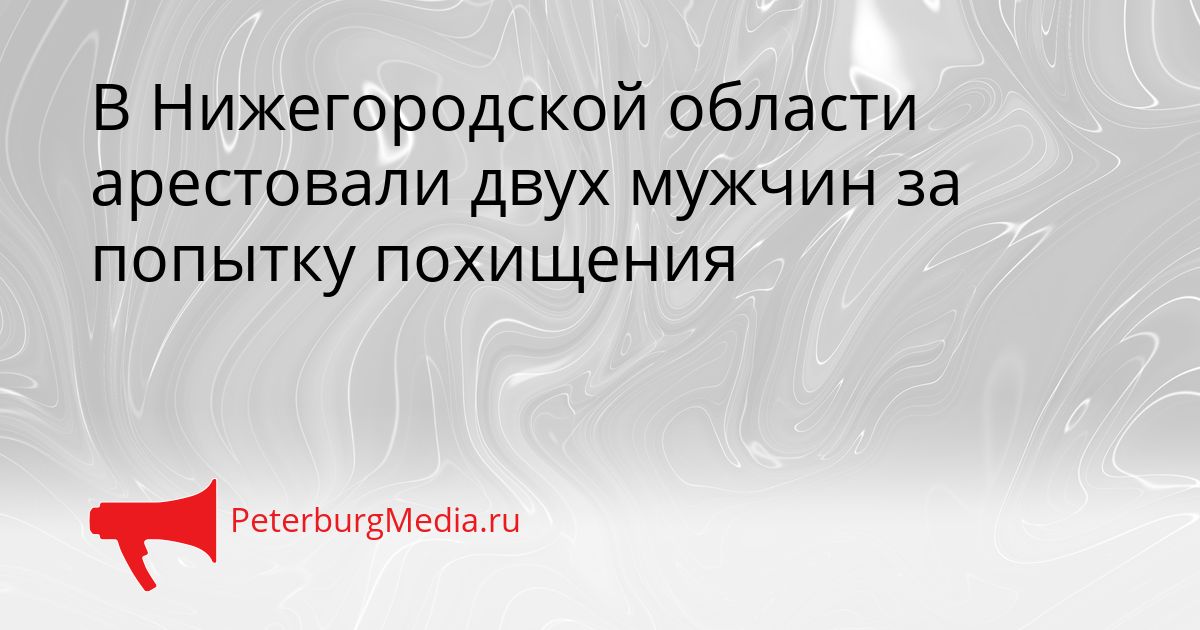 В Нижегородской области арестовали двух мужчин за попытку похищения