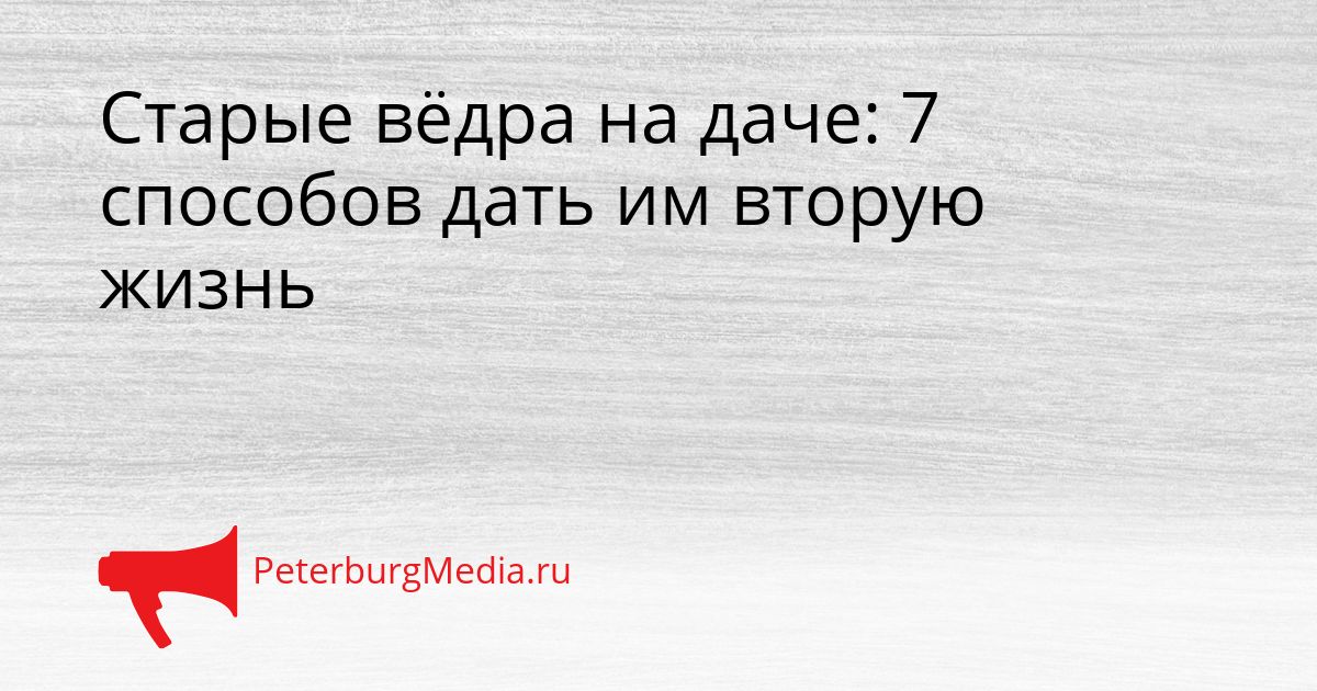 Старые вёдра на даче: 7 способов дать им вторую жизнь Сгенерировано