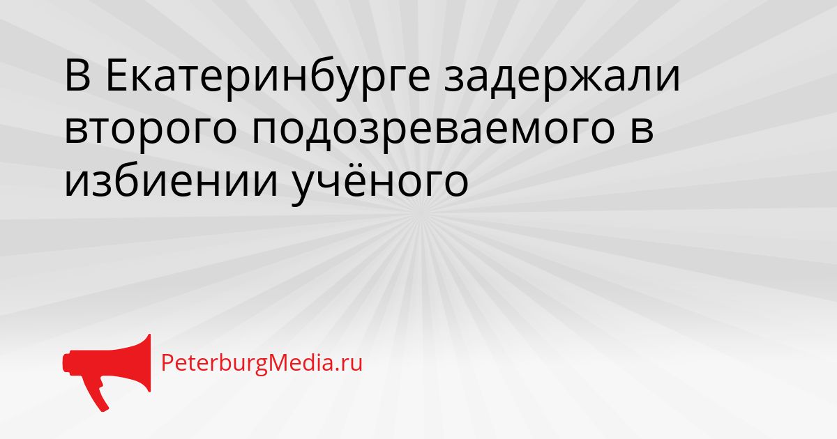 В Екатеринбурге задержали второго подозреваемого в избиении учёного