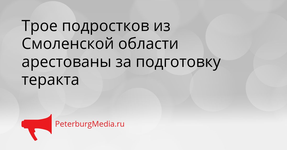 Трое подростков из Смоленской области арестованы за подготовку теракта