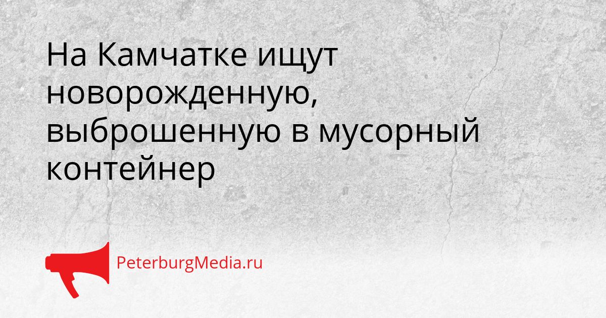 На Камчатке ищут новорожденную, выброшенную в мусорный контейнер