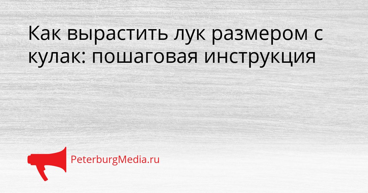 Как вырастить лук размером с кулак: пошаговая инструкция