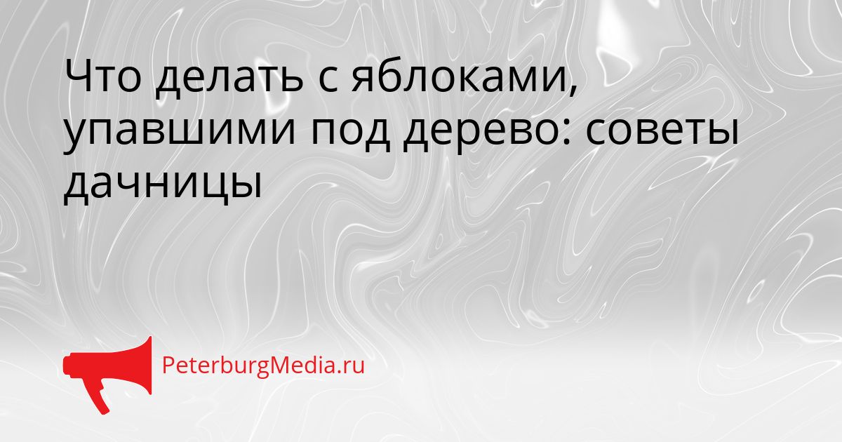 Что делать с яблоками, упавшими под дерево: советы дачницы
