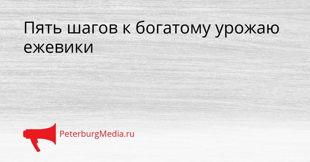 Пять шагов к богатому урожаю ежевики