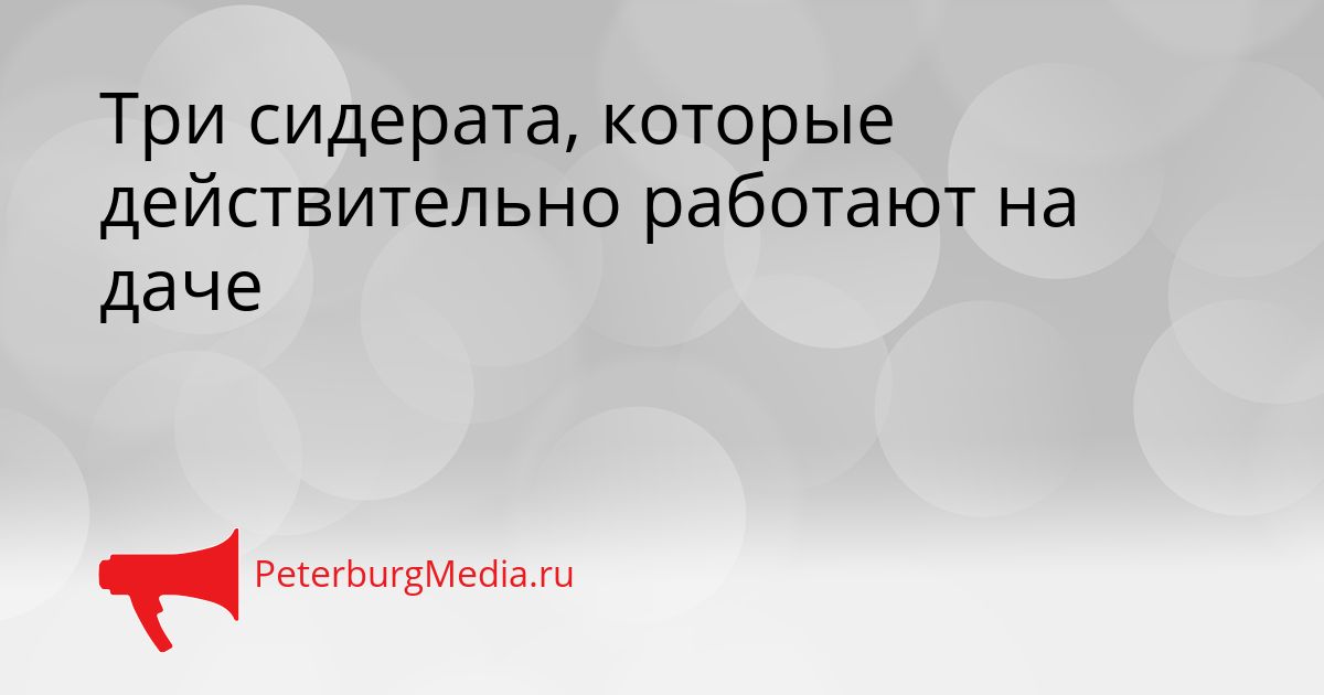 Три сидерата, которые действительно работают на даче