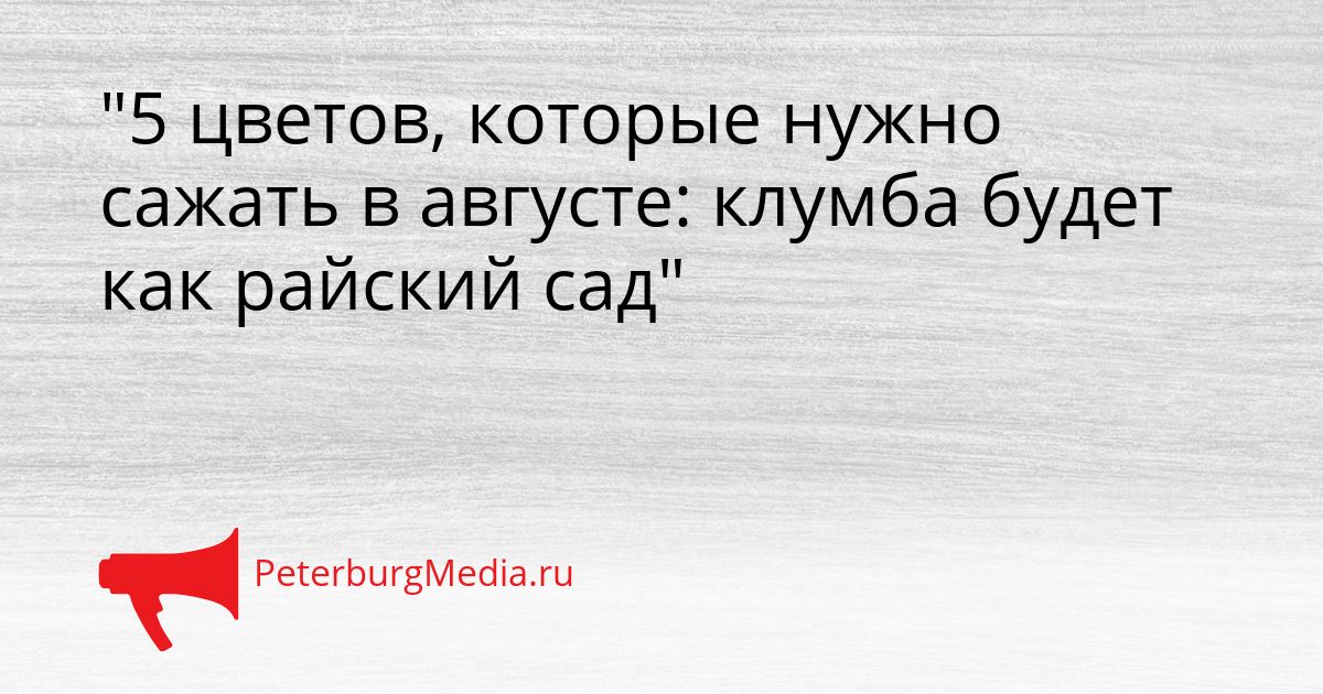 "5 цветов, которые нужно сажать в августе: клумба будет как райский сад"