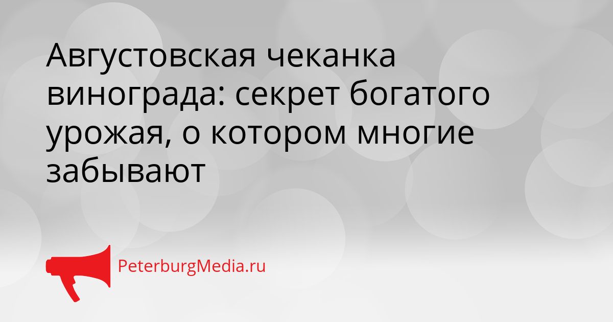 Августовская чеканка винограда: секрет богатого урожая, о котором многие забывают