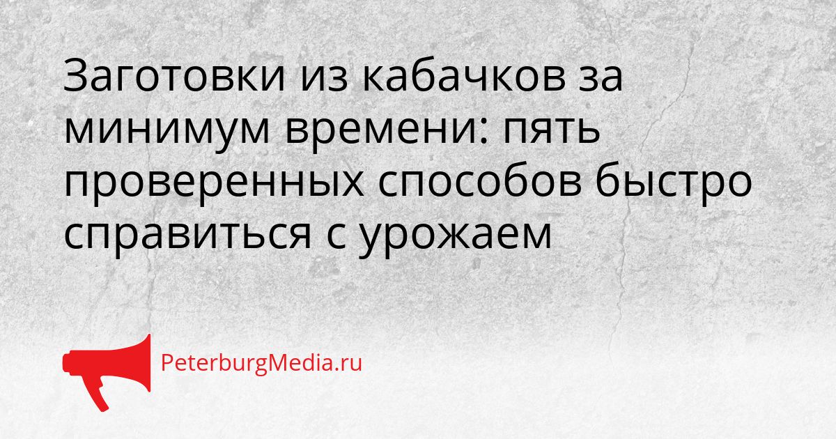 Заготовки из кабачков за минимум времени: пять проверенных способов быстро справиться с урожаем